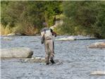Permesso di Pesca